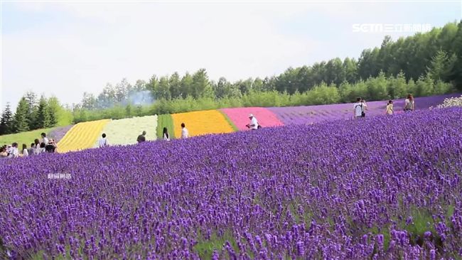 夏季旅展今開跑　去北海道3萬有找