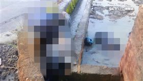 農民清晨巡田水 驚見男女陳屍田中