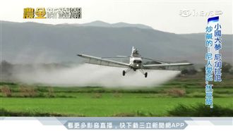 尼加拉瓜稻王！台灣女孩的中美洲米夢