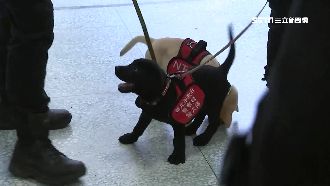 又萌又專業！緝毒小尖兵助警一臂之力