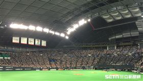 火腿主場札幌巨蛋（圖／球迷提供）