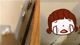 租屋,入住,嘉明,保險套,衛生紙,牆,房客　圖／翻攝自爆廢公社https://goo.gl/Zl3Kil
