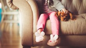 狗,毛小孩,寵物 圖／Pixabay