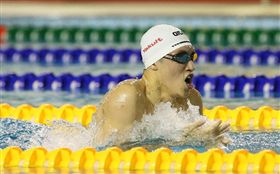 游泳 翻攝自Taipei 2017 Universiade - 世大運