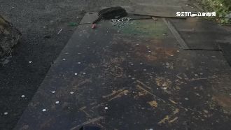 駕賓士偷遍南北兌幣機　見警撒錢逃跑