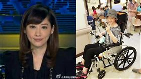 劉珊玲（合成圖／翻攝自劉珊玲微博）