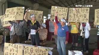 合作社欠債千萬　受害農民砸鳳梨抗議