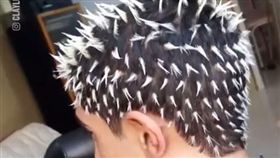 巴西,挑染,染髮,造型,刺蝟,仙人掌,髮型（圖／翻攝自LADbible臉書）
https://www.facebook.com/search/top/?init=quick&q=Eu%20mando%20o%20corte%20do%20jaca&tas=0.18711614406773913