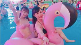 國際,日本,泳池,派對,游泳,夜間泳池,打卡,instagram,ig,hashtag