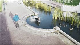  滑手機,開車,訊息,打電話,等待,車禍,意外,跌倒,摔跤,水池,出糗,駕駛　圖／翻攝自YouTube https://goo.gl/hhoquc