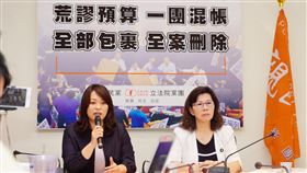 親民黨團,周陳秀霞,陳怡潔　圖／親民黨提供