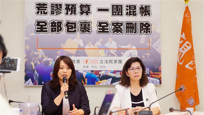 力阻民進黨　親民黨：前瞻預算全刪除