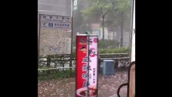 東京狂風吹走招牌　網友魔性笑聲爆紅