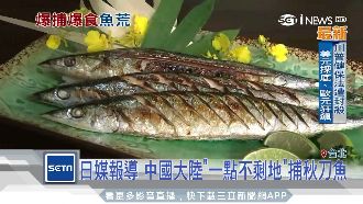 秋刀魚鬧魚荒恐漲　業者建議改吃鯖魚