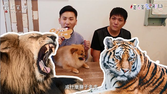 跟著店犬黑糖　一起去動物園野餐吧！
