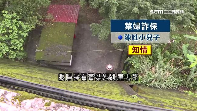母詐保跳崖亡　冷血兒疑知情不見悲痛