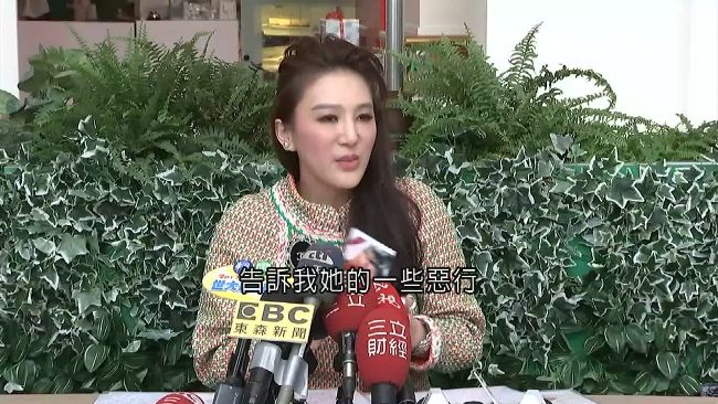 兒子打鬧受傷　王子苓摑男童今遭起訴