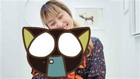 蟑螂擬真抱枕（圖／翻攝自爆廢公社）