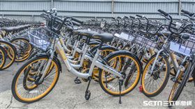 16:9
oBike亂象,無樁自行車,共享,機車,腳踏車,停車格,違停　圖／記者林敬旻攝