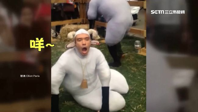 真人扮綿羊搞笑演出　遇大野狼直發抖