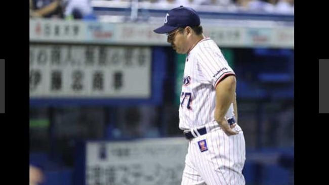 燕子困神宮　養樂多擋不住14連敗