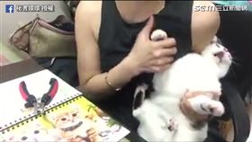 嬛嬛聽到剪指甲大崩潰