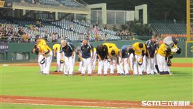 ▲中信兄弟在新莊球場逆轉富邦悍將。（圖／記者蕭保祥攝）