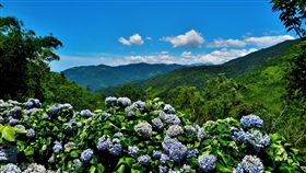 好天氣（圖／民眾施錫鐘授權提供，未經同意請勿翻攝）