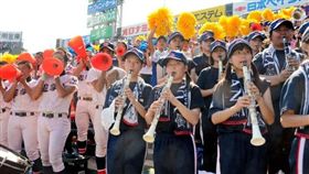 學校出賽不僅僅棒球社要加油，連音樂社也要出動（圖／翻攝自朝日新聞）