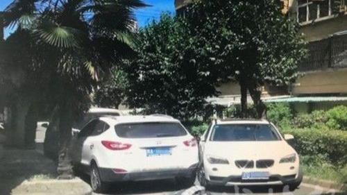 油門當煞車！三寶媳撞死婆婆在樹上