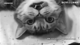 隔著螢幕都能感覺到絕望。