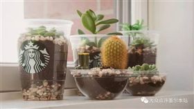 星巴克咖啡小花園（圖／翻攝自微博）