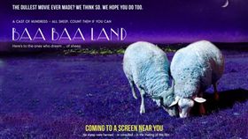 羊,電影,La La Land,樂來樂愛你,Baa Baa Land,吃草,Calm,冥想,動物
（圖／翻攝自calmdotcom官網）