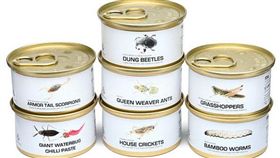 蟲蟲罐頭,罐頭,昆蟲,Think Geek,美國,泰國,日本