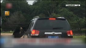 餵食熊扒窗2400.