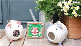 好久不見！金鳥再登台　以後免再代購