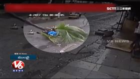 印度,孟買,椰子樹,女主播,死亡,倒塌,雨季