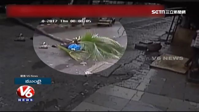 散步被椰子樹擊中　前主播慘死街頭