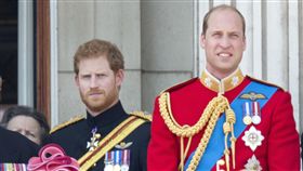 威廉王子,哈利王子_美聯社/達志影像