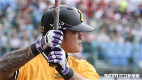 中信兄弟林智勝　圖／記者林敬旻攝