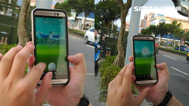 寶可夢釋出2大神獸　玩家分享攻略