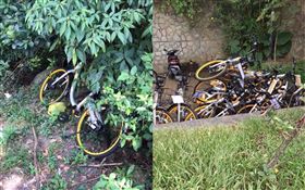 oBike被任意棄置新北市觀音山。（合成圖／翻攝自《爆料公社》）
