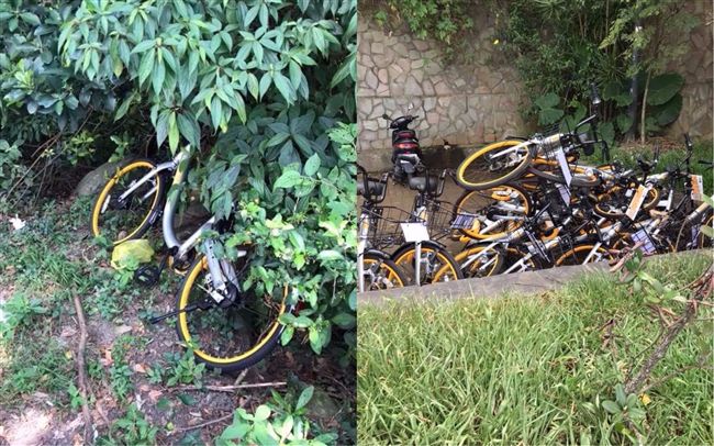亂丟扔草叢　oBike曝屍觀音山