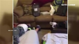 花21萬睡沙發！遊學團遭控變台勞團