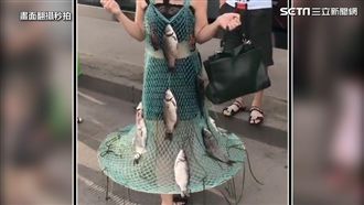 漁網蕾絲裝　義大利名設計師？