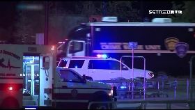 f美人球悶死1600