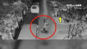 超級幸運兒！遭雷擊兩次竟毫髮無傷