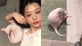 雪莉 / 翻攝自KPOP CHU youtube