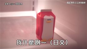 冰箱裡的小玩具。