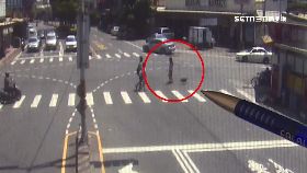 J狗害童迷路2200